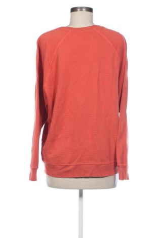 Damen Shirt Betty & Co, Größe XL, Farbe Rot, Preis € 24,48