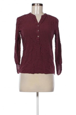 Damen Shirt Betty Barclay, Größe XS, Farbe Mehrfarbig, Preis € 33,99