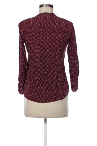 Damen Shirt Betty Barclay, Größe XS, Farbe Mehrfarbig, Preis € 33,99