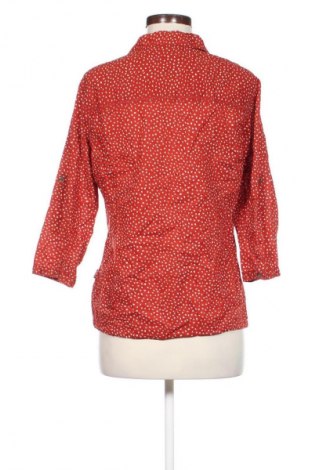 Damen Shirt Cecil, Größe M, Farbe Mehrfarbig, Preis 23,99 €