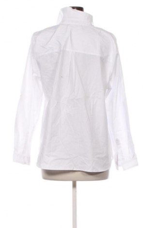Bluzka damska Collection L, Rozmiar XL, Kolor Biały, Cena 62,99 zł