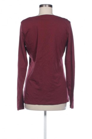 Damen Shirt Esprit, Größe XXL, Farbe Rot, Preis € 53,99