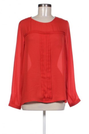 Damen Shirt Gina Benotti, Größe S, Farbe Rot, Preis 10,00 €