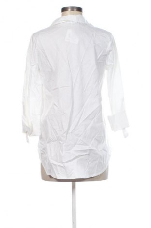 Damen Shirt NEW COLLECTION, Größe M, Farbe Weiß, Preis € 53,99