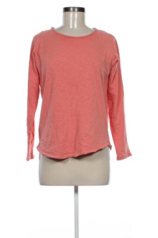 Damen Shirt Smith & Soul, Größe XL, Farbe Rosa, Preis 17,00 €