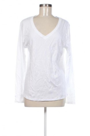 Bluzka damska Tex, Rozmiar XXL, Kolor Biały, Cena 62,99 zł