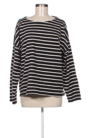 Bluzka damska Tex, Rozmiar XXL, Kolor Kolorowy, Cena 62,99 zł