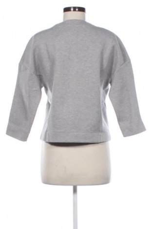 Damen Shirt Tommy Hilfiger, Größe S, Farbe Grau, Preis € 61,99