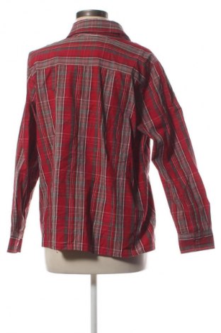 Damenbluse Ambra, Größe XL, Farbe Mehrfarbig, Preis 13,00 €