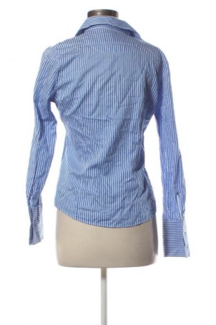 Damenbluse Charles Tyrwhitt, Größe M, Farbe Mehrfarbig, Preis 37,99 €