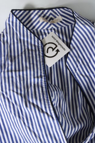 Damenbluse Christian Berg, Größe XXL, Farbe Mehrfarbig, Preis 22,99 €