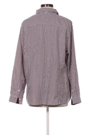 Dámska košeľa  Collection L, Veľkosť XL, Farba Viacfarebná, Cena  14,95 €