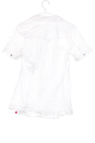 Damenbluse Edc By Esprit, Größe XS, Farbe Weiß, Preis 17,00 €