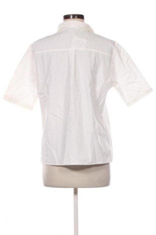 Damenbluse H&M, Größe M, Farbe Ecru, Preis € 13,99