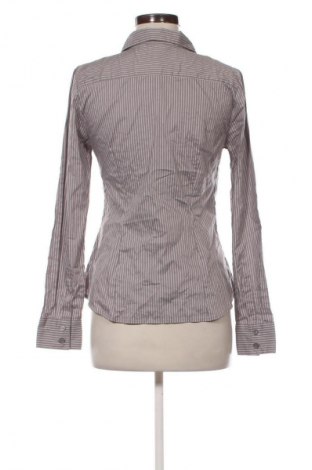 Damenbluse H&M, Größe M, Farbe Mehrfarbig, Preis 17,99 €