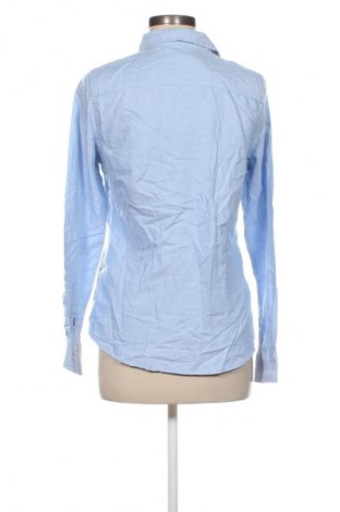Damenbluse Hampton Republic, Größe M, Farbe Blau, Preis € 28,99