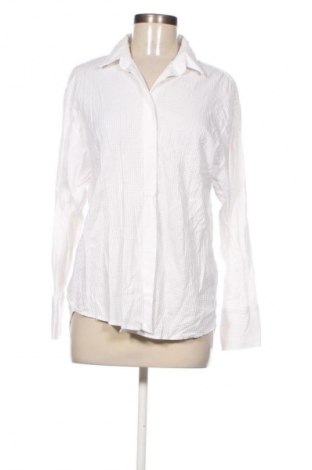 Damenbluse Massimo Dutti, Größe S, Farbe Weiß, Preis 28,13 €