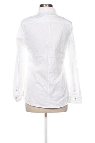 Damenbluse Massimo Dutti, Größe M, Farbe Weiß, Preis € 38,99