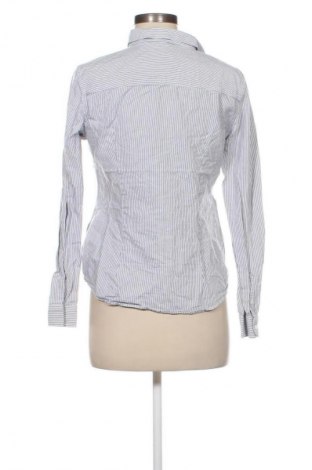 Damenbluse Montego, Größe M, Farbe Mehrfarbig, Preis € 17,99