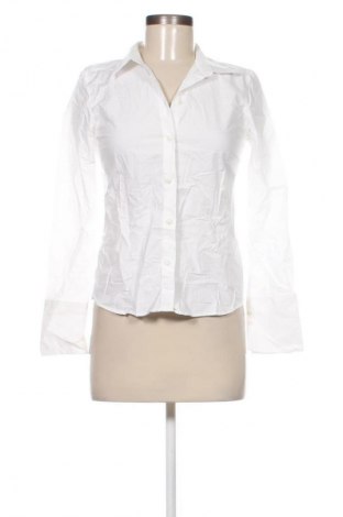 Damenbluse Oxxo, Größe S, Farbe Weiß, Preis € 17,99