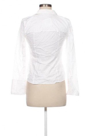 Damenbluse Oxxo, Größe S, Farbe Weiß, Preis € 17,99