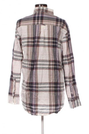 Damenbluse Park Lane, Größe L, Farbe Mehrfarbig, Preis 17,99 €