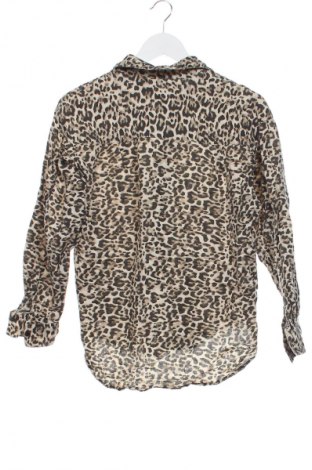 Damenbluse Stradivarius, Größe XS, Farbe Mehrfarbig, Preis 17,99 €