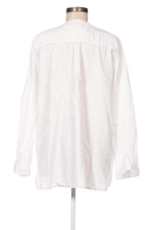 Damenbluse Street One, Größe XL, Farbe Ecru, Preis € 28,99