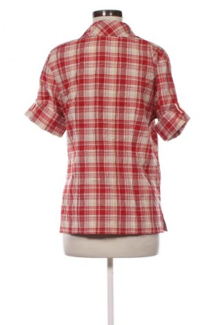 Damenbluse Sure, Größe L, Farbe Mehrfarbig, Preis 12,99 €