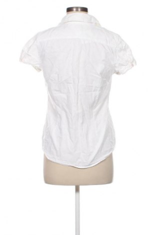 Damenbluse Tommy Hilfiger, Größe L, Farbe Weiß, Preis € 57,99