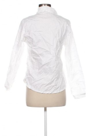 Damenbluse Unbranded, Größe L, Farbe Weiß, Preis 17,99 €