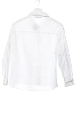 Γυναικείο πουκάμισο Zara, Μέγεθος XS, Χρώμα Λευκό, Τιμή 9,99 €