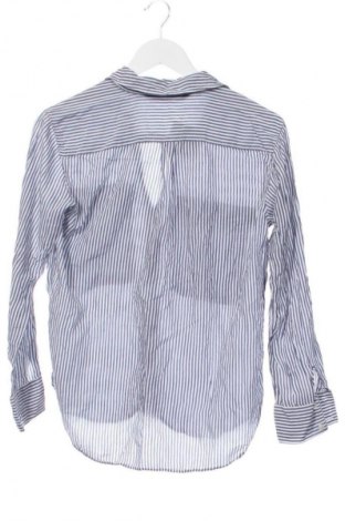Damenbluse Zara, Größe XS, Farbe Mehrfarbig, Preis 13,81 €
