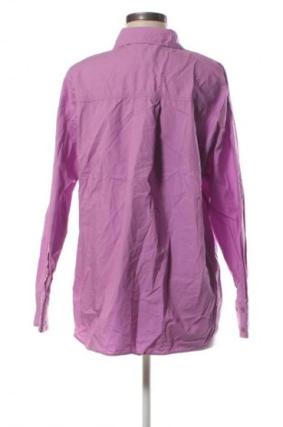 Damenbluse Zara, Größe L, Farbe Rosa, Preis € 18,99