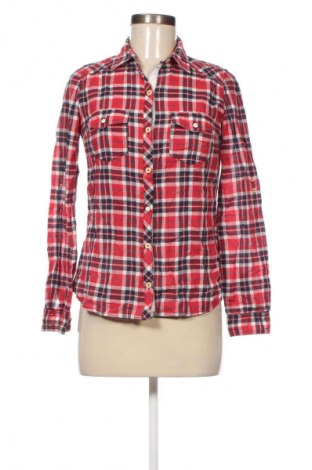 Damenbluse Zara Trafaluc, Größe S, Farbe Mehrfarbig, Preis € 18,99