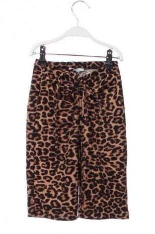 Damen Shorts Amisu, Größe XS, Farbe Mehrfarbig, Preis € 9,99