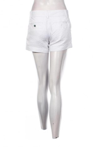 Dámske kraťasy  Calvin Klein, Veľkosť M, Farba Biela, Cena  45,52 €
