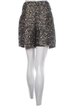 Damen Shorts Promod, Größe M, Farbe Mehrfarbig, Preis 10,99 €