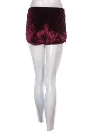 Damen Shorts Tally Weijl, Größe S, Farbe Lila, Preis 9,72 €