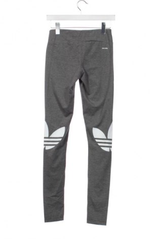 Γυναικείο κολάν Adidas, Μέγεθος S, Χρώμα Γκρί, Τιμή 26,99 €