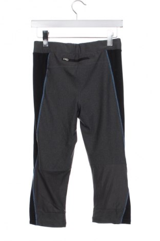 Dámske legíny  C/fit, Veľkosť M, Farba Sivá, Cena  15,95 €