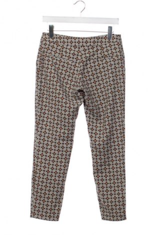 Damenhose Elisabetta Franchi, Größe S, Farbe Mehrfarbig, Preis € 119,99