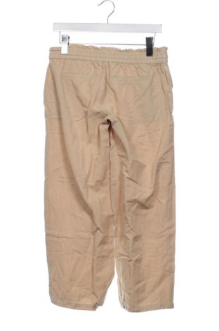 Damenhose Mamalicious, Größe XS, Farbe Braun, Preis 53,99 €