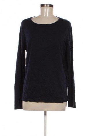 Damenpullover Cecil, Größe L, Farbe Blau, Preis € 64,99
