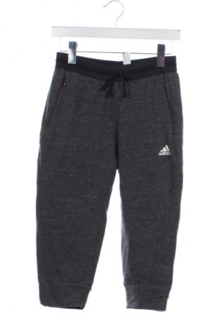 Damen Sporthose Adidas, Größe XS, Farbe Grau, Preis 20,97 €