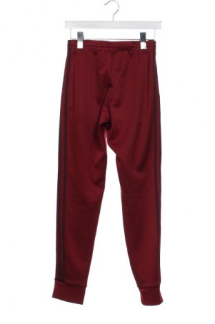 Pantaloni trening de femei Adidas Originals, Mărime XS, Culoare Multicolor, Preț 139,99 Lei