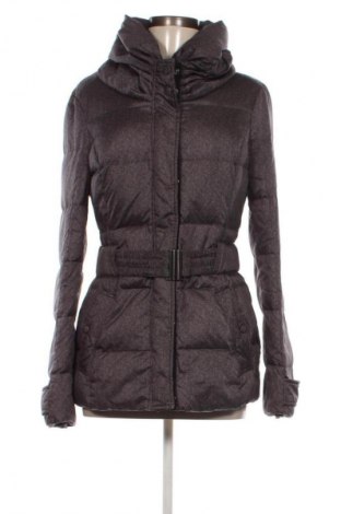 Damenjacke Esprit, Größe M, Farbe Grau, Preis € 61,99