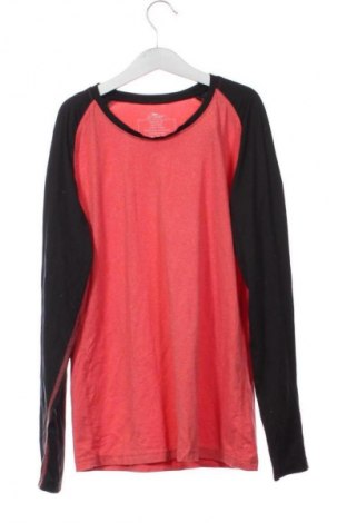 Kinder Shirt Crane, Größe 12-18m/ 80-86 cm, Farbe Mehrfarbig, Preis € 17,99