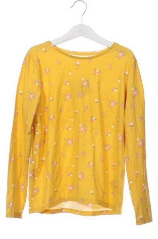 Dětská halenka  H&M, Velikost 8-9y/ 134-140 cm, Barva Vícebarevné, Cena  138,00 Kč