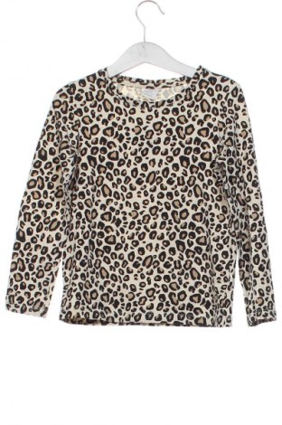 Kinder Shirt Lindex, Größe 5-6y/ 116-122 cm, Farbe Mehrfarbig, Preis 7,99 €